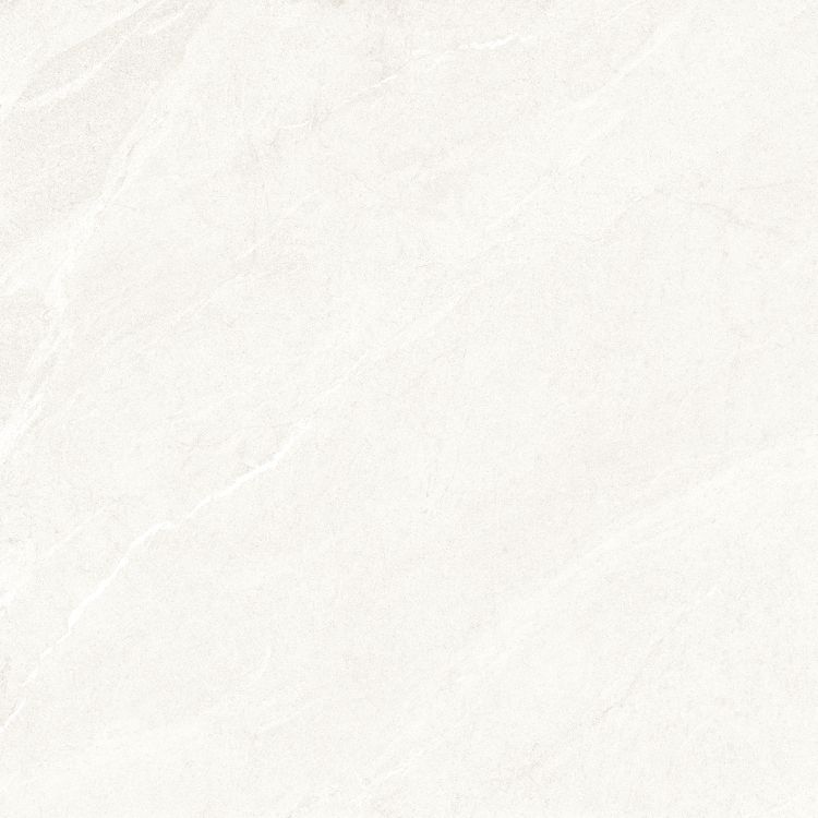 Dhara White Matte 48 x 48